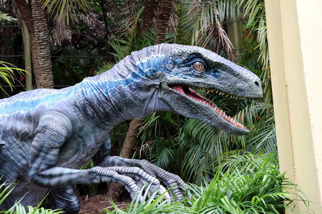 Blue the Raptor debuts at Universal Orlando and Universal Studios ...