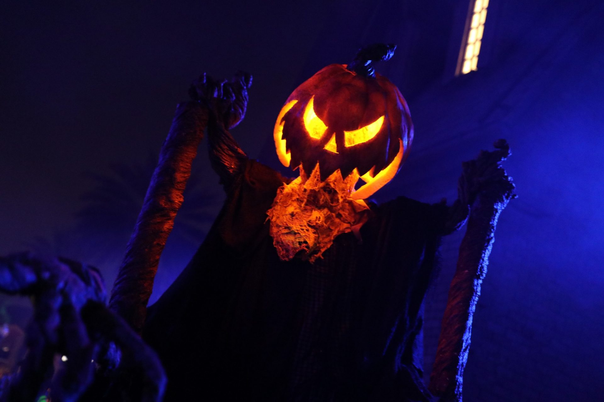 REVIEW Halloween Horror Nights 28 at Universal Orlando Inside Universal