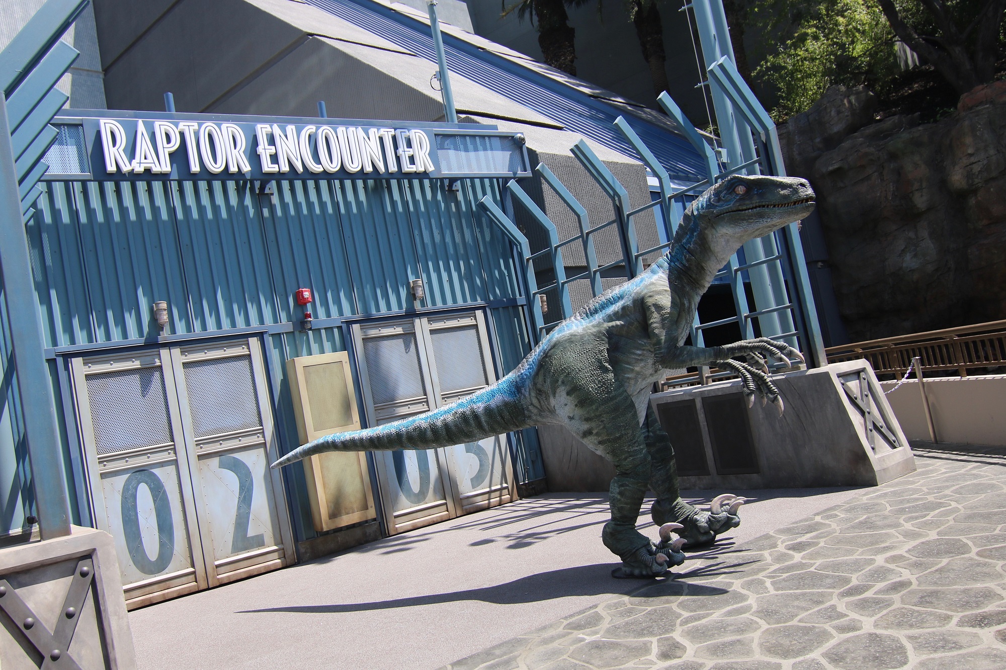 Raptor and Triceratops Encounters debut in Jurassic World at Universal  Studios Hollywood