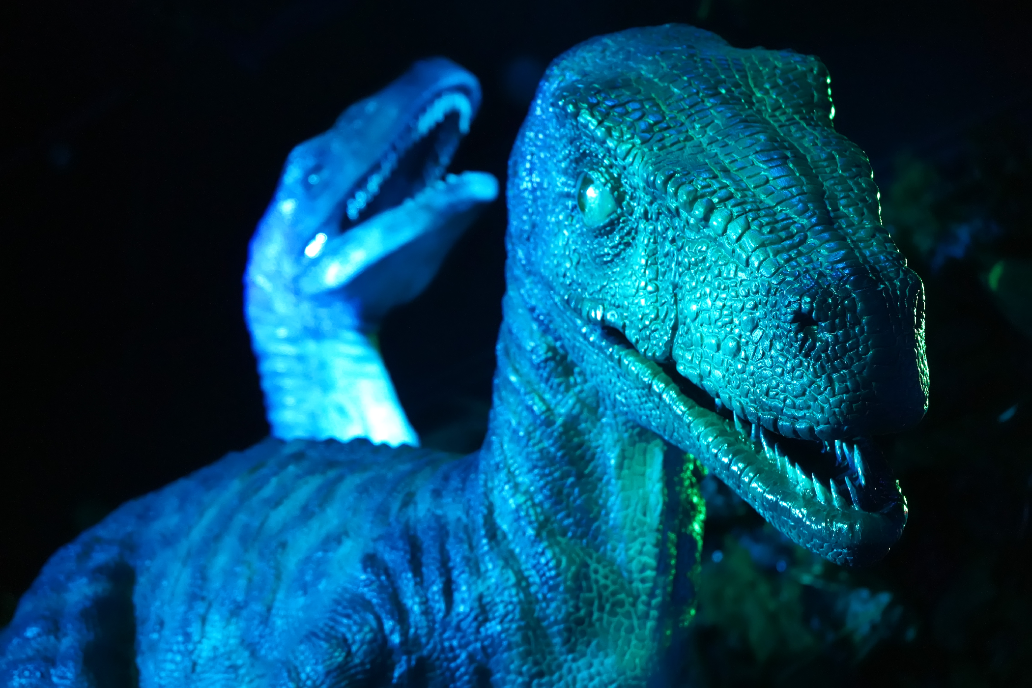 Summer Tribute Store Featuring Jurassic World Opens At Universal Studios Florida Inside Universal