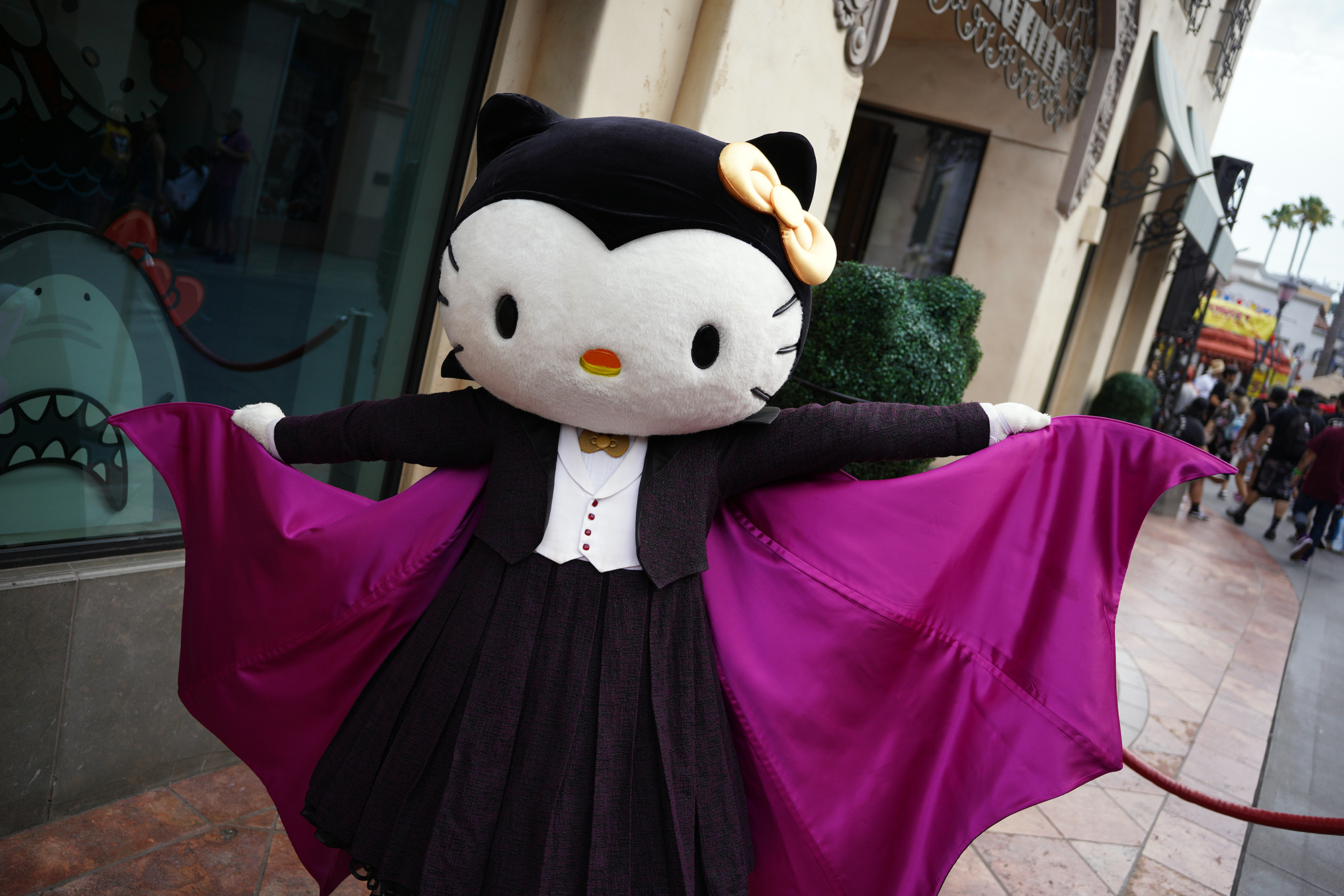 Hello Vampire Kitty returns to meet guests during Halloween season